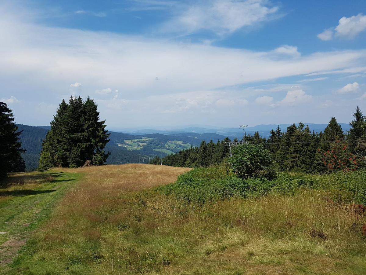 Traumurlaub Im Bayerische Wald 상트엥글마 외부 사진